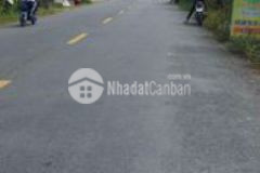 Gần 1 công đất phú túc châu thành hình bánh chưng