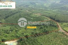 Đất sẵn sổ 270 350triệu 100 giá 1 586m2 view đẹp