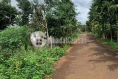 Bán đất đường nhựa buôn eanao b nxn nối dài