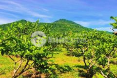 Mặt tiền lập định suối môn cam an nam