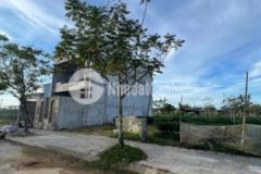 Hàng hiếm thủy vân td 4 cực đẹp sạch sẽ