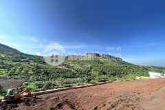 Chính chủ bán đất thổ cư thị trấn nam ban, huyện lâm hà, sổ hồng riêng. diện tích 448m2