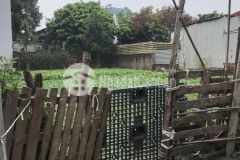 Cực hiếm duy nhất có 1 0 2 bán đất tiền yên, hoài đức 95m chỉ 2,x tỷ