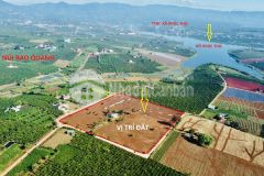 Lô đất lâm đồng gần kdl đồi chè long đỉnh hồ phúc thọ rẻ hơn thị trường 150 triệu, chính chủ