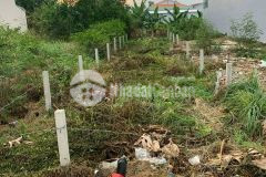 Đất full thổ cư shr ngay cầu cần giuộc, dt 4,2 x 30