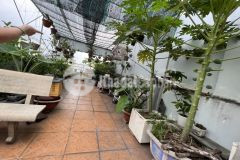 Bán gấp lô góc mtkd bằng giá nhà hẻm quận 10 3 tầng nhỉnh 4tỷ