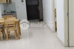 Cho thuê căn hộ 2 pn chung cư thái an 6, phan huy ích p.14, gò vấp, 60m2, 6.5 triệutháng