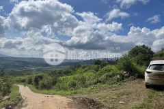 Bán hơn 5 sào đất bám đường 180m view đồi nghỉ dưỡng qh thổ cư tại lâm hà chỉ 2.7 tỷ