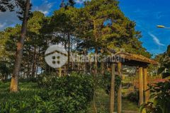 Biệt thự nghỉ dưỡng kiwuki bảo lộc lâm đồng