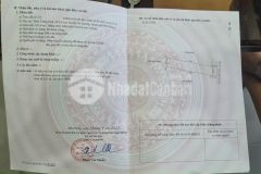 Chính chủ gửi bán lô đất tại thôn tràng duệ, xã lê lợi, huyện an dương, tp. hải phòng