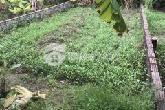 Bán đất xuân nộn, đông anh, ngõ rộng, nông,ô tô vào đất