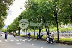 Dòng tiền 100tr, 88m2,bán nhà trường sa bình thạnh,hxh 6m,nhỉnh 13 tỷ