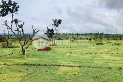 Cần bán đất nền bảo lộc full thổ cư view hồ núi giá chỉ từ 510tr lh 0352828805