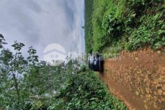 Cần bán lô đất 18 000m2 tại tp bảo lộc giá 22 tỷ