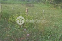 Bán đất thổ cư đường nhựa gần cổng chào long vĩnh