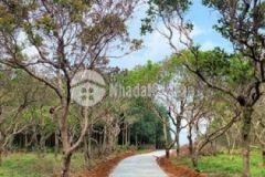 Đất vườn thổ ngay trung tâm hành chính đắk r lấp