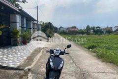 175m2 full thổ cư 5x35 mt đường 31a ql22 2tỉ550tr