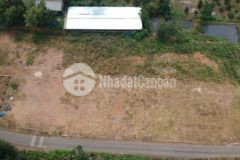 Đất nền dầu giây thống nhất