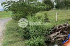 Đức hoà thượng đức hoà long an