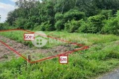 Củ chi 364m2 full thổ cư giá chỉ 1 6 tỷ