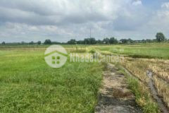 Bán đất xã phước thạnh củ chi