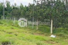 Kẹt tiền ngộp giảm 250tr bán miếng đất để dành