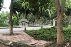 Chỉ hơn 2 tỷ xx đất nam đầm vạc vĩnh yên vp