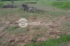 Đất nền xã phú đông tiền giang cần bán