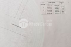 Bán đất có nhà mặt tiền đường lê hồng phong