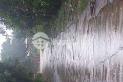 Đất trồng cây lâu năm chính chủ sổ hồng riêng