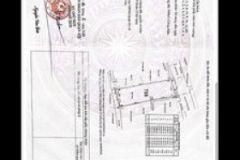 Bán đất chính chủ 1000m2 thổ cư đường thạnh xuân