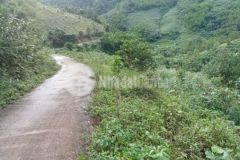 Bán đất mặt tiền đường tỉnh lộ 676 kontum