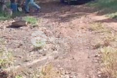 30ha bình phước giá 2ty1ha cả đất và cây cao su