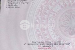 Nền 5x29 ful thổ tân mỹ thanh bình đồng tháp