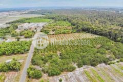 Bán 7000m2 phước hội gần điểm du lịch phước hải