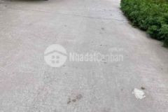 Dthông đường 6m diện tích 52 8