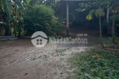 Cần bán gấp nhà và đất 2 mặt tiền lộ sông gần chợ