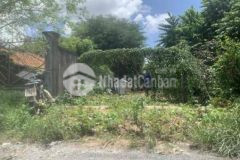 Chủ gửi đất đường 120 gần chợ chiều 95m2 full thổ