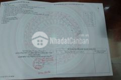 Sang nhượng quyền sử dụng đất