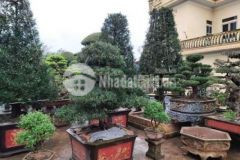 Bán hoặc cho thuê mặt tiền 28m ql21