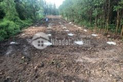 Bán đất ven sông vàm cỏ cách water point 6 km