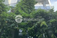 Nhà 3t 105m2 5 6mx18 5m hxh bùi đình tuý bt