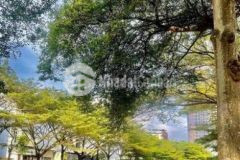 Giảm sốcđất view sông kdc phú mỹ giá 8 6tỷ