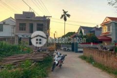 Cắt lỗ gấp đất xuân hòa phúc yên