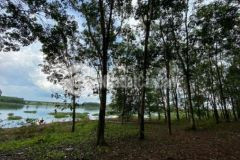 Đất bình phước view hồ phước hoà thổ cư 100