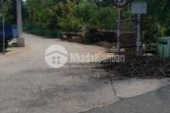 Ngột quá giả ngay 50 triệu