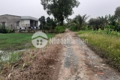 1 công vườn ấp thân đạo, thân cửu nghĩa,châu thành,tiền giang