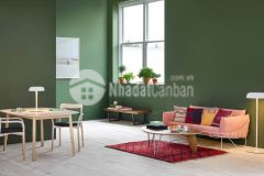 Hạ giá bán nhanh kqh tô hiến thành, giá siêu tốt, ngay trung tâm chỉ 5,5 tỷ
