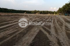 Bán đất sxkd long nguyên, bàu bàng, bd. dt đất 1ha, giá bán 1,8trm2