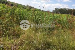 1 sào đất đội 6 hòa bình có 20m mặt tiền